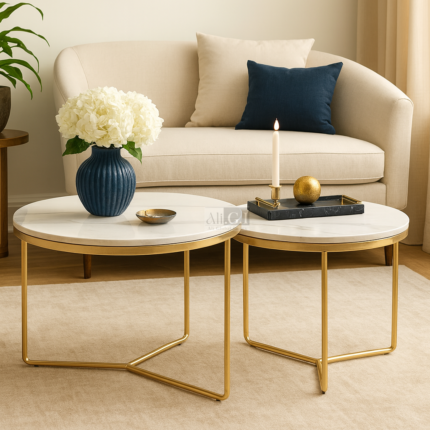 Ali.G.I-Benette Nesting Tables with Gold Metal Frame (AGI-451)